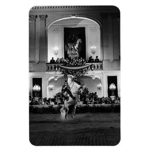 Imán Vintage Austria Viena