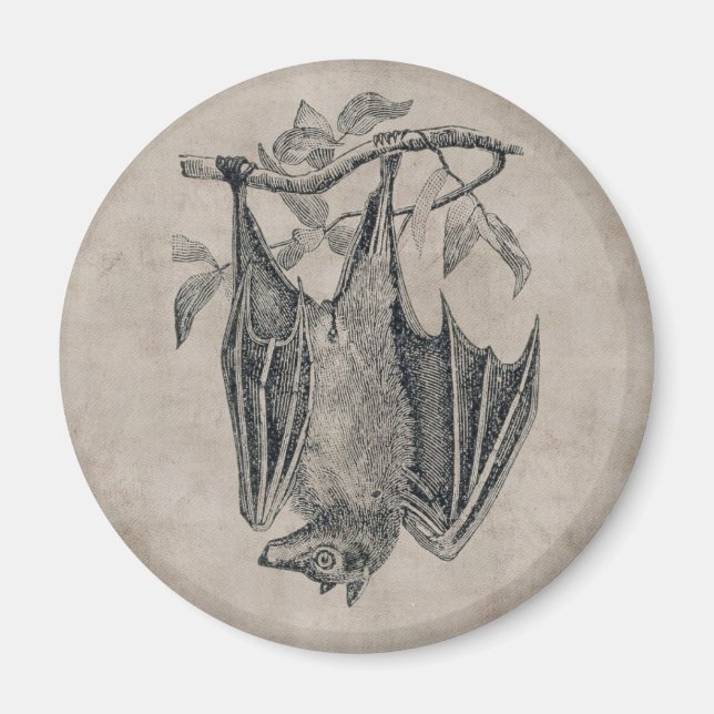 Imán Vintage Bat Magnet (Frente)