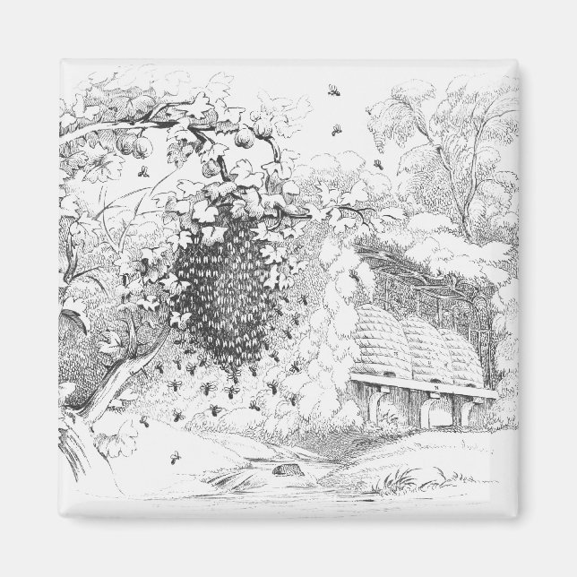 Imán Vintage Bee Hives (Frente)