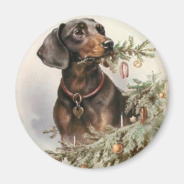 Imán Vintage Christmas Dachshund Dog (Frente)