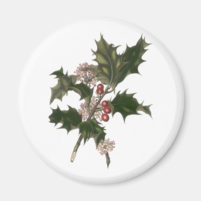 Imán Vintage Christmas, Green Holly Planta con Berries (Frente)