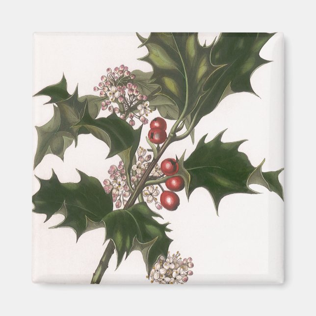 Imán Vintage Christmas, Holly Plant with Red Berries (Frente)