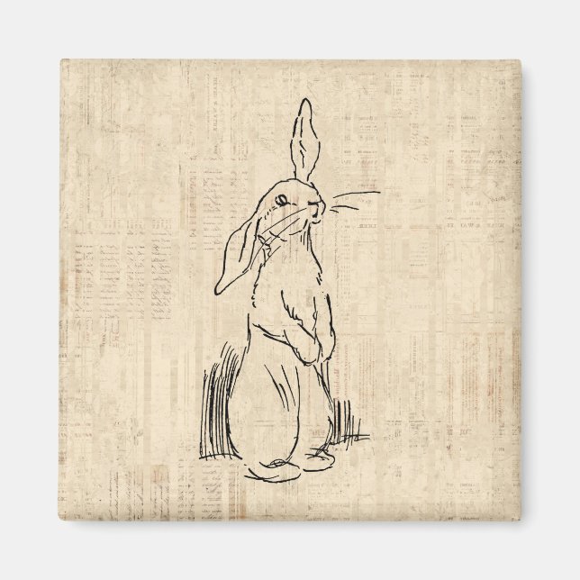 Imán Vintage Cute Bunny Rabbit Art Script Background (Frente)