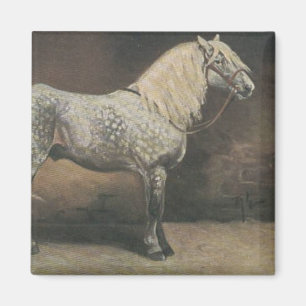 Imán Vintage Dapple Gray
