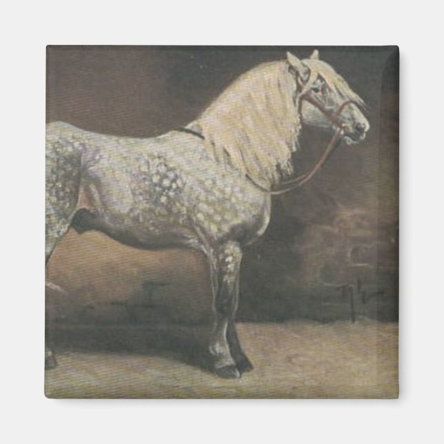 Imán Vintage Dapple Gray (Frente)