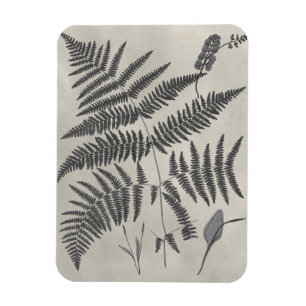 Imán Vintage Ferns