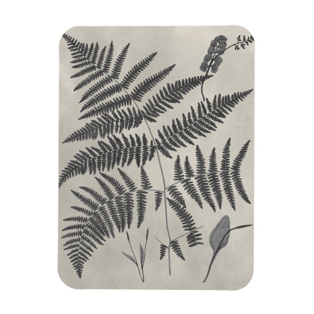 Imán Vintage Ferns (Vertical)