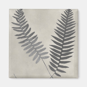 Imán Vintage Ferns
