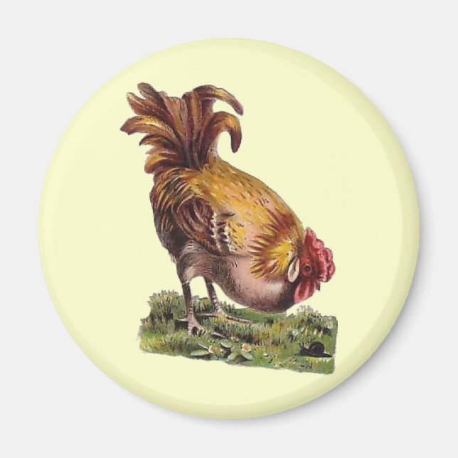 Imán Vintage French Country Rooster Fridge Magnet (Frente)
