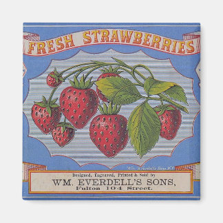 Imán Vintage Fresas Strawberries Magnet