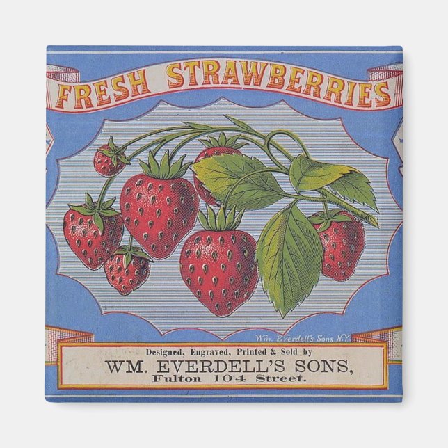 Imán Vintage Fresas Strawberries Magnet (Frente)