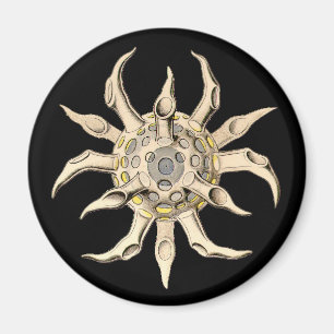 Imán Vintage Haeckel