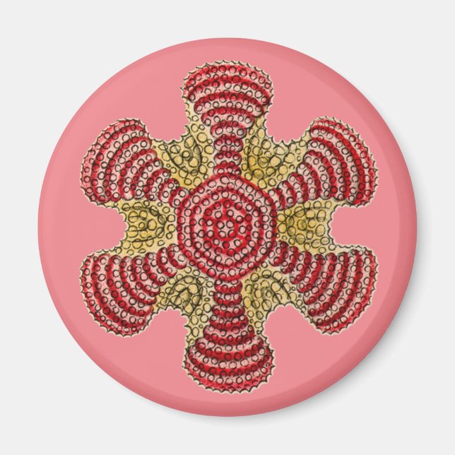 Imán Vintage Haeckel (Frente)