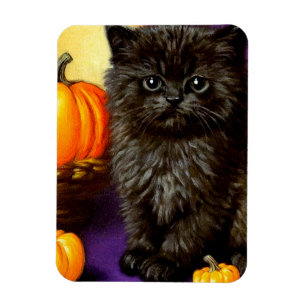 Imán Vintage Halloween Kitten