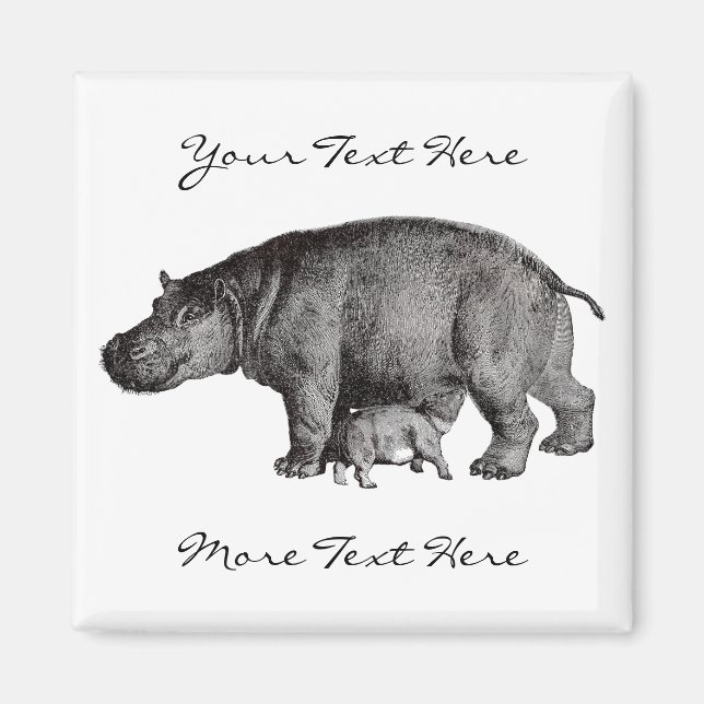 Imán Vintage Hippo Magnet (Frente)