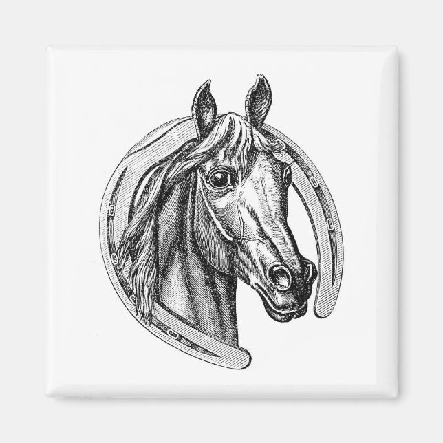 Imán Vintage Horse & Horseshoe Fridge Magnet (Frente)