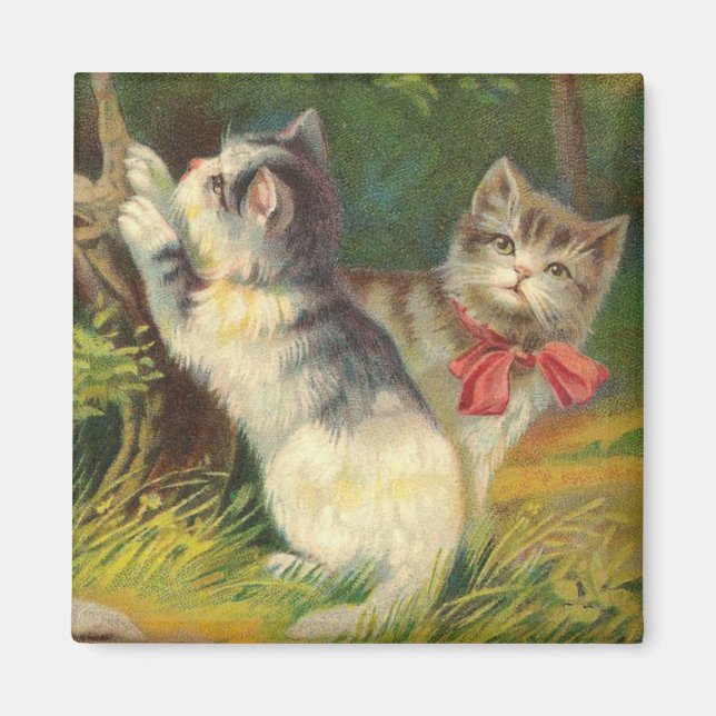 Imán Vintage Kitten Magnet (Frente)