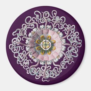 Imán Vintage personalizable Haeckel