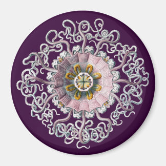 Imán Vintage personalizable Haeckel