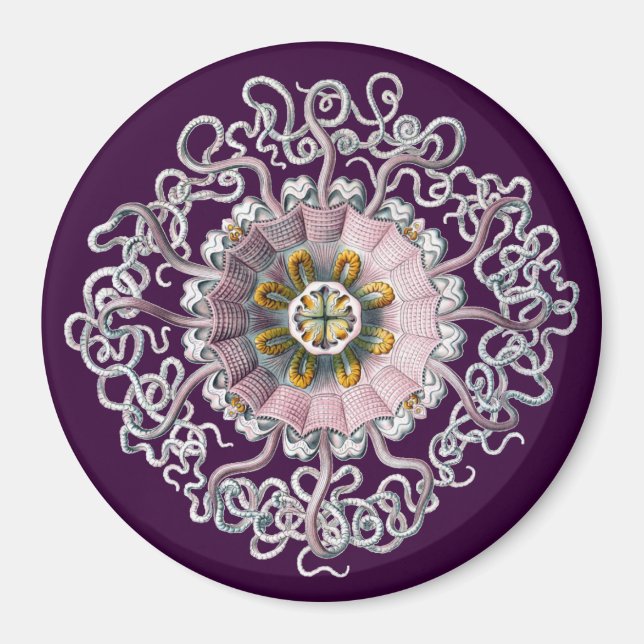 Imán Vintage personalizable Haeckel (Frente)