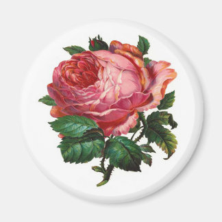 IMÁN VINTAGE PINK ROSE
