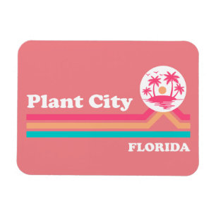 Imán Vintage Plant City Florida