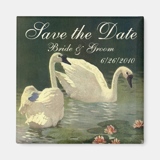 Imán Vintage Save the Date! Bellos Cisnes Nadando (Frente)