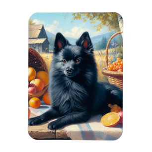 Imán Vintage Schipperke Puppy Pintura