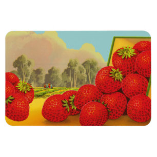 Imán Vintage Strawberry Crate Art Magnets