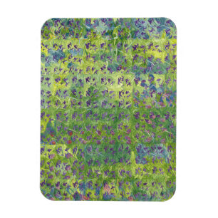 Imán Violetas dulces 2012