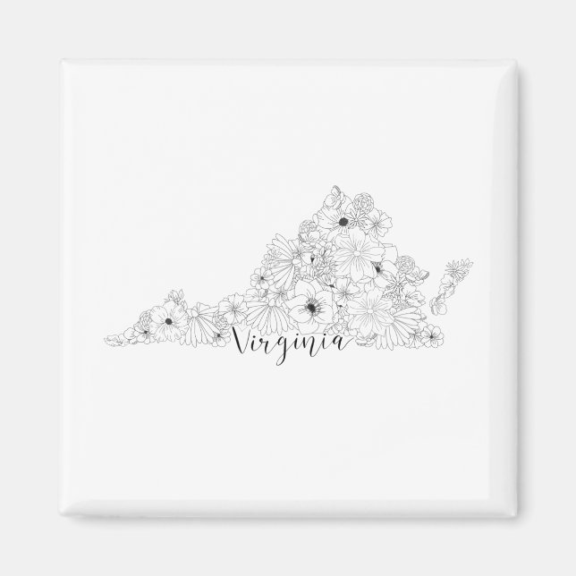 Imán  Virginia (Frente)