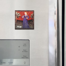 Imán Virgo la fiesta de cumpleaños del Rótulo Virgin Zo