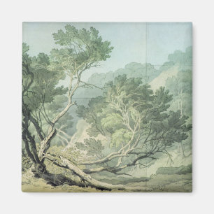 Imán Visión cerca de Fordlands, Exeter