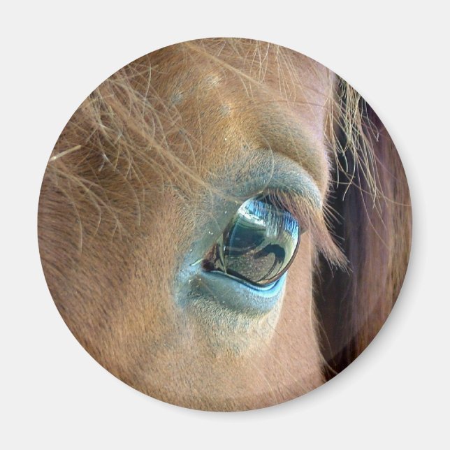 Imán Visión de Caballo (Frente)
