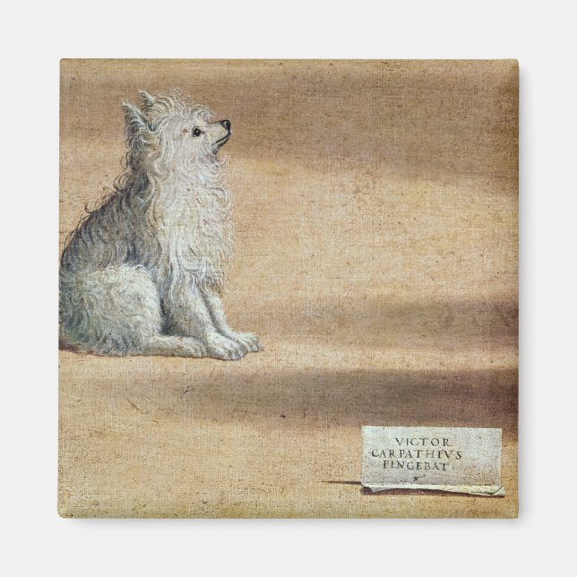 Imán Visión de San Agustín (Frente)