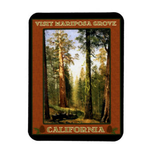 Imán Visita Mariposa Grove
