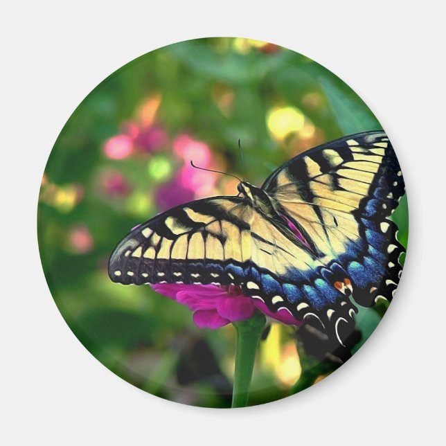 Imán Visitante de verano (Frente)