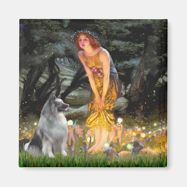 Imán Víspera de San Juan - Keeshond (Frente)