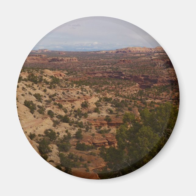 Imán Vista de Canyonlands desde el sendero Neck Springs (Frente)