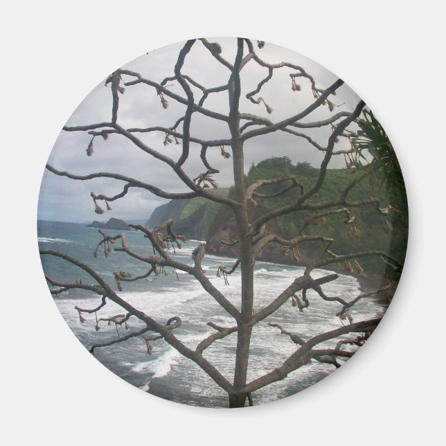 Imán Vista de fotos en árbol hawaiano de Ocean Beach (Frente)