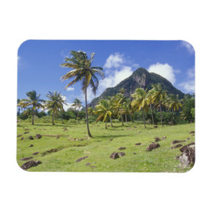 Imán vista de Gros Piton a lo largo del sendero históri
