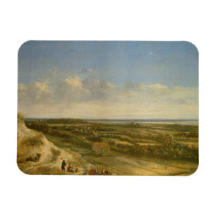Imán Vista de Haarlem de las dunas (aceite en lona)
