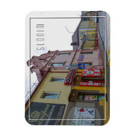 Imán Vista de la ciudad de Slonim Arquitectura de la ci