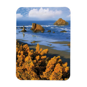 Imán Vista de la playa de Oregon en Bandon