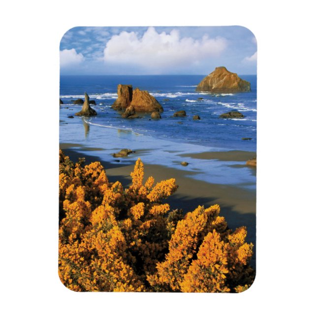 Imán Vista de la playa de Oregon en Bandon (Vertical)