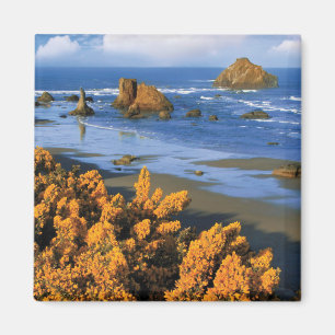 Imán Vista de la playa de Oregon en Bandon