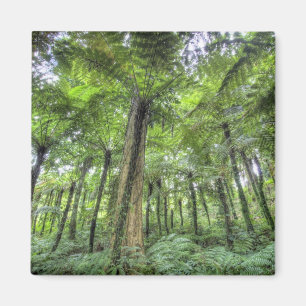 Imán Vista de la vegetación en el Jardín Botánico de