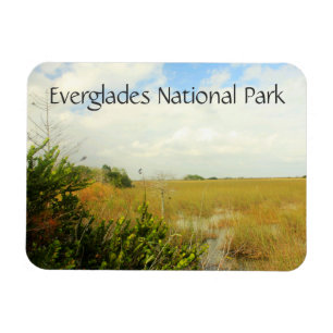 Imán Vista de Marsh, Parque Nacional Everglades, Florid