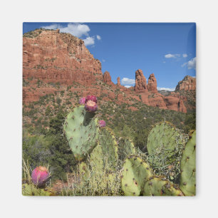 Imán Vista de motas gemelas el Sedona, Arizona