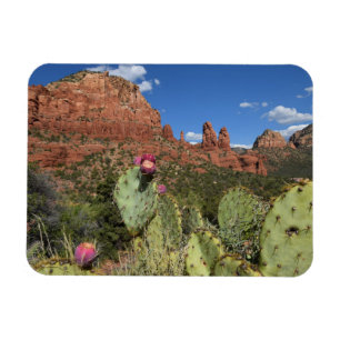 Imán Vista de motas gemelas el   Sedona, Arizona